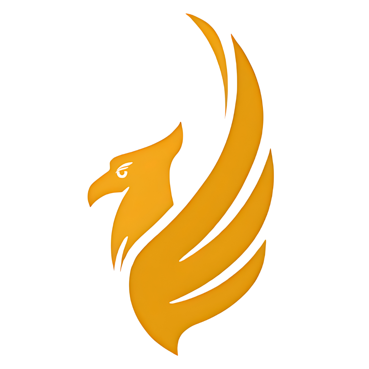 Saraf Tech Lab LLP